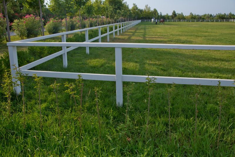 Stable Fencing Installation in Pearland, TX